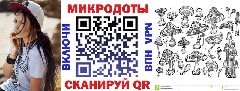 закладка Лесной Псилоцибиновые грибы мицелий